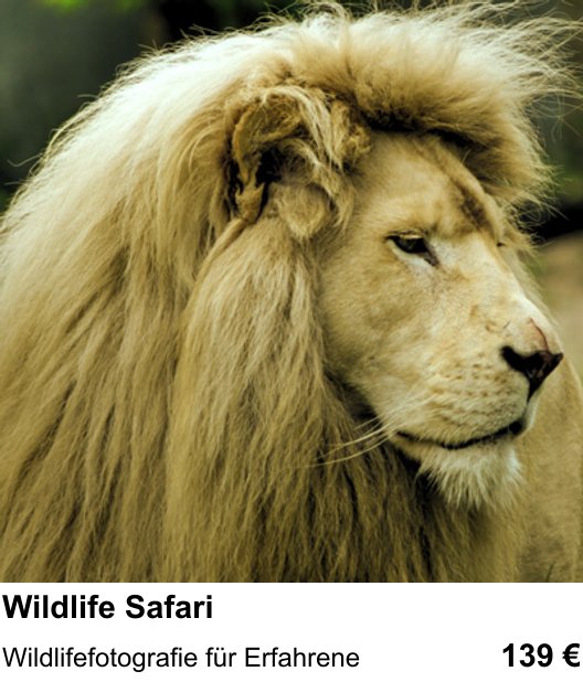 Fotoworkshop in Ingolstadt über Wildlife Safari: Wildlifefotografie für Erfahrene