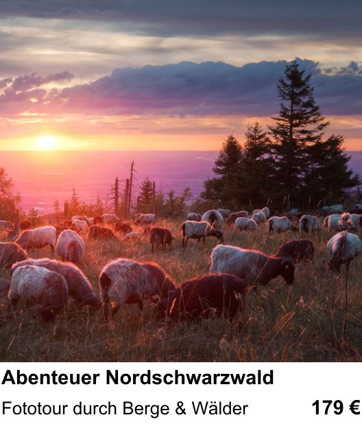 Fortgeschrittener Foto-Workshop zu Abenteuer Nordschwarzwald: Fototour durch Berge & Wälder