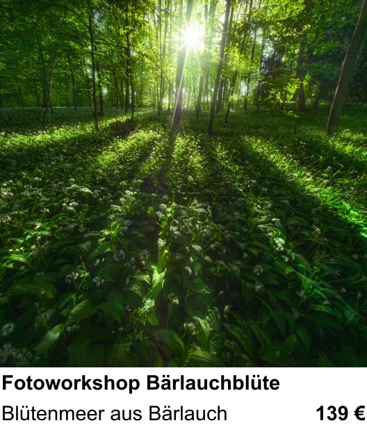 Fortgeschrittener Foto-Workshop zu Fotoworkshop Bärlauchblüte: Blütenmeer aus Bärlauch