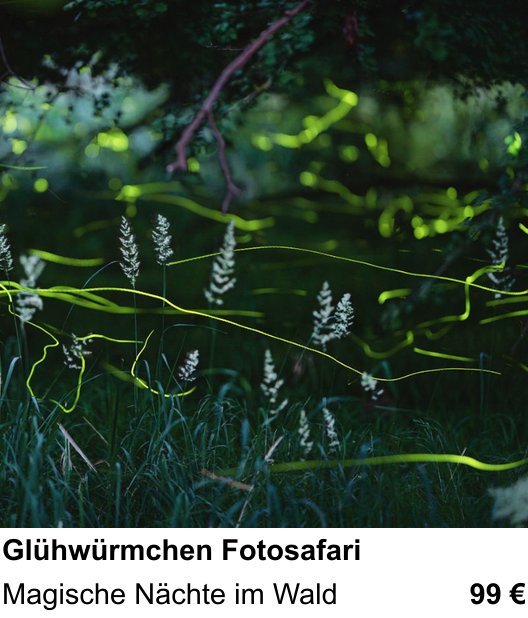 Fortgeschrittener Foto-Workshop zu Glühwürmchen Fotosafari: Magische Nächte im Wald