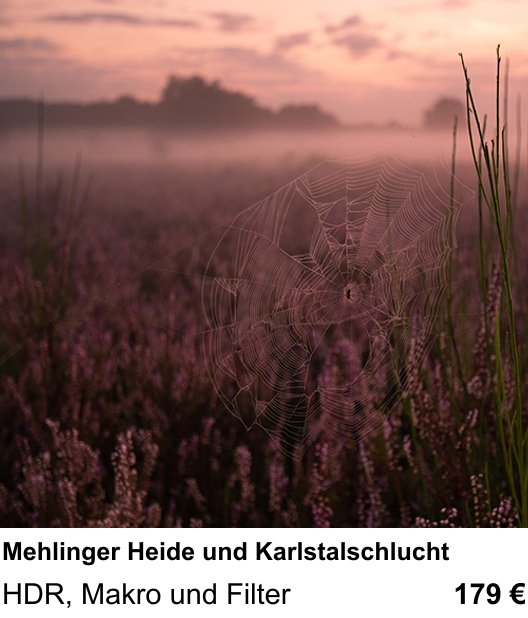 Fortgeschrittener Foto-Workshop zu Mehlinger Heide und Karlstalschlucht: HDR, Makro und Filter