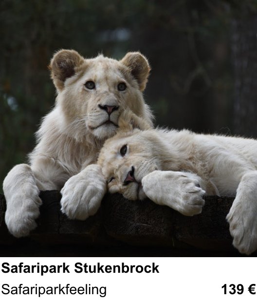 Fortgeschrittener Foto-Workshop zu Safaripark Stukenbrock: Safariparkfeeling