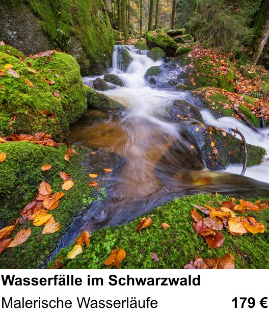 Fortgeschrittener Foto-Workshop zu Wasserfälle im Schwarzwald: Malerische Wasserläufe