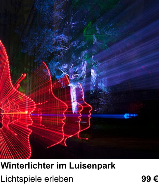 Fortgeschrittener Foto-Workshop zu Winterlichter im Luisenpark: Lichtspiele erleben